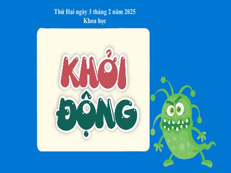 Bài giảng Khoa học 5 (Kết nối tri thức) - Bài 19: Vi khuẩn có ích trong chế biến thực phẩm - Năm học 2024-2025