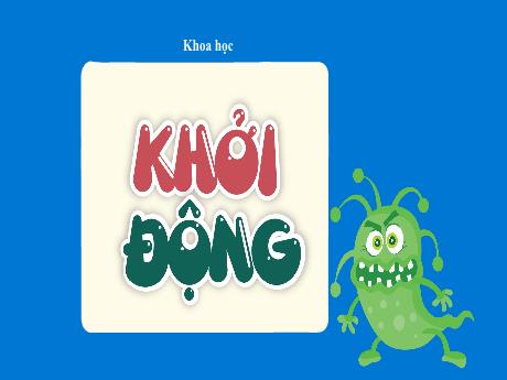 Bài giảng Khoa học 5 (Kết nối tri thức) - Bài 19: Vi khuẩn có ích trong chế biến thực phẩm