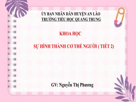 Bài giảng Khoa học 5 (Kết nối tri thức) - Bài 22: Sự hình thành cơ thể người (Tiết 2) - Nguyễn Thị Phương