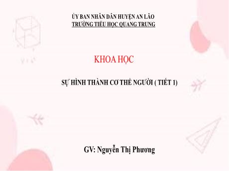 Bài giảng Khoa học 5 (Kết nối tri thức) - Bài 22: Sự hình thành cơ thể người (Tiết 1) - Nguyễn Thị Phương