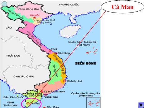 Bài giảng Tiếng Việt 5 - Đất Cà Mau