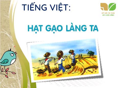 Bài giảng Tiếng Việt 5 (Kết nối tri thức) - Đọc: Hạt gạo làng ta