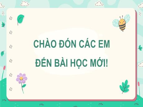 Bài giảng Tin học 5 - Bài 6: Định dạng kí tự và bố trí hình ảnh trong văn bản